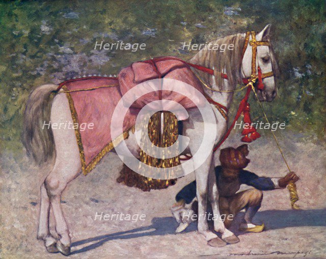 'A Famous Led Horse in the Retinue of the Rao of Cutch', 1903. Artist: Mortimer L Menpes.