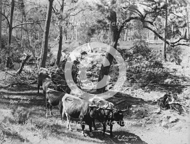 Upper Albert The last crossing, 1894. Creator: Poul C Poulsen.