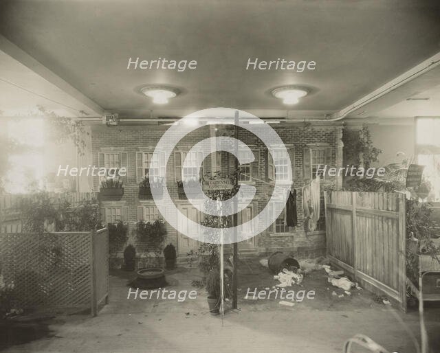 City Gardens Club of New York City Exhibition at the International Flower Show, March, 1921. Creator: Frances Benjamin Johnston.