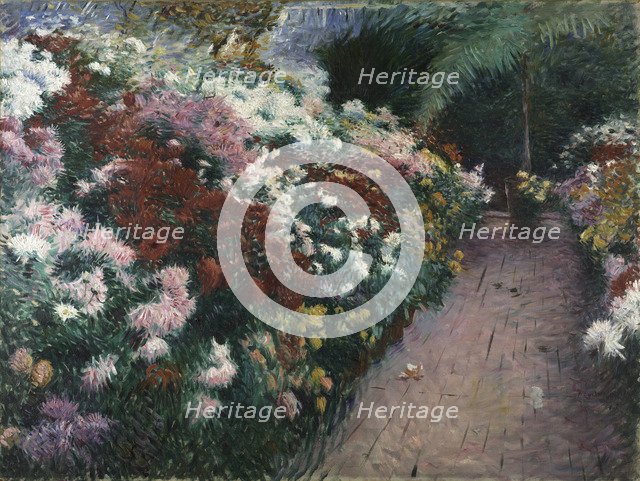 Chrysanthemums, 1888.