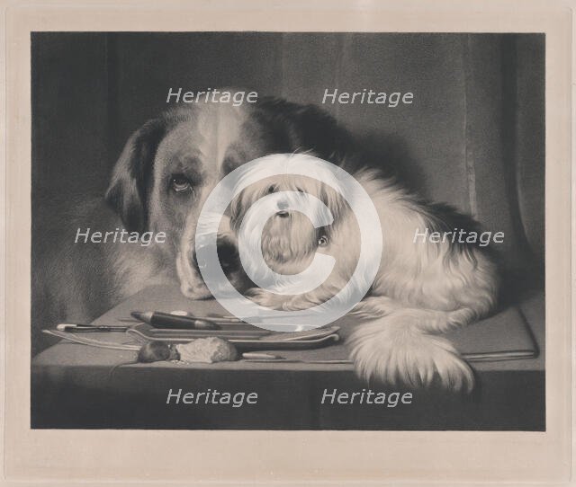 The Lion-Dog of Malta--The Last of His Tribe, 1844. Creator: Thomas Landseer.