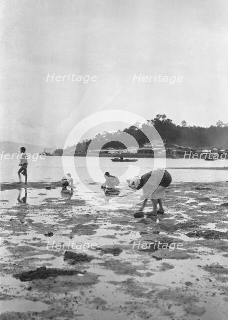 Travel views of Japan and Korea, 1908. Creator: Arnold Genthe.