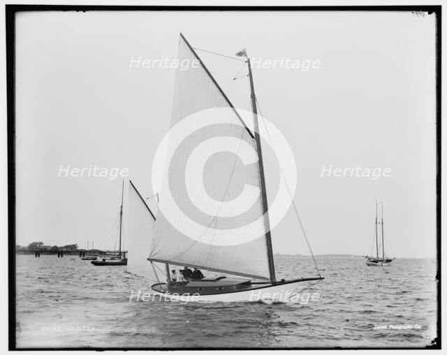 Jester, between 1891 and 1899. Creator: Unknown.