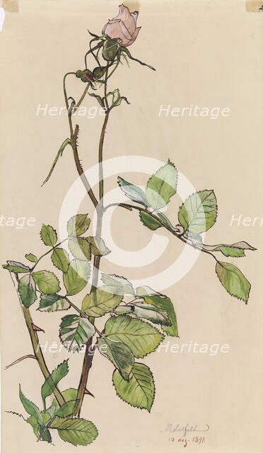 Rose, 1898. Creator: Albert Edelfelt.