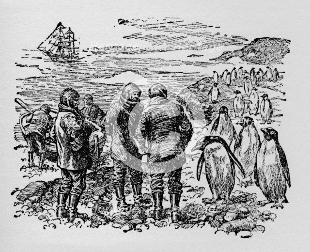 'Landed on a small island inhabited by myriads of penguins', c1918. Artist: Unknown.