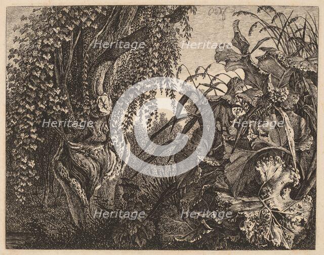 A Thicket; a Gnarled Willow Tree at Left, a Thicket of Vegetation at Right, 1820/1835. Creator: Carl Wilhelm Kolbe the elder.