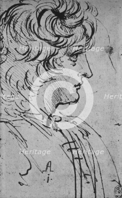 'Profile of a Youth to the Right', c1480 (1945). Artist: Leonardo da Vinci.