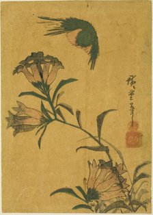 Bird and gentian, c. 1830s. Creator: Ando Hiroshige.