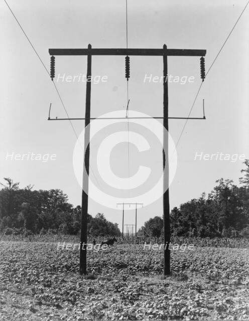 Rural electrification in Pulaski County, Arkansas, 1938. Creator: Dorothea Lange.