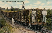 Train Load of Sugar Cane leaving the field, Cuba, 1915. Artist: Unknown