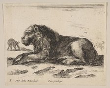 Plate 5: reclining lion, from 'Various animals' (Diversi animali), ca. 1641. Creator: Stefano della Bella.