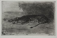 Tigre couché à lentrée de son antre. Creator: Eugène Delacroix (French, 1798-1863).