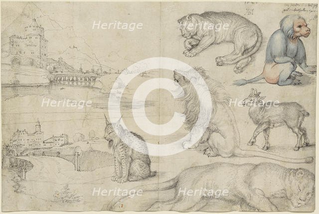 Sketches of Animals and Landscapes, 1521. Creator: Dürer, Albrecht (1471-1528).