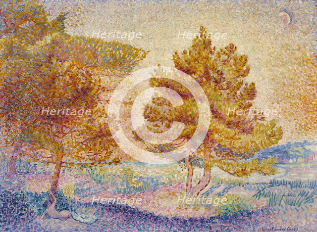 Pines, c1898. Creator: Cross, Henri Edmond (1856-1910).