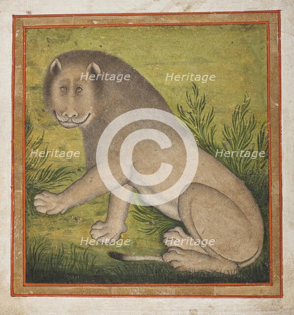 Lion (image 1 of 4), c1800. Creator: Unknown.
