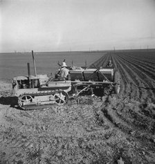 Large-scale, mechanized farming - potato planter, Kern County, California, 1939. Creator: Dorothea Lange.