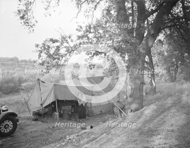 Wife and child of migrant worker, encamped near Winters, California, 1936. Creator: Dorothea Lange.