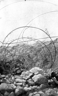 Life in the trenches in Champagne; In the wires of an adjoining trench..., 1917. Creator: Unknown.
