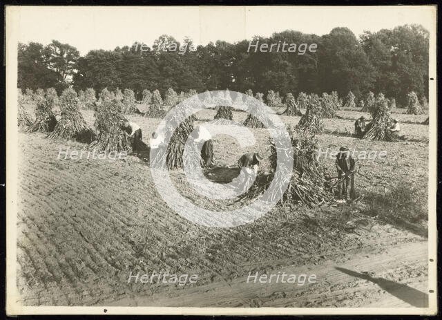 Untitled, ca. 1935. Creator: Lewis Wickes Hine.