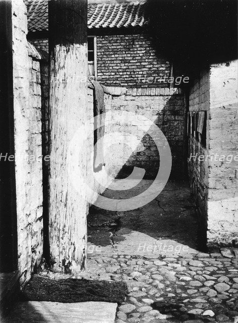 Narrow alley in a York slum, Yorkshire, 1901. Artist: Unknown