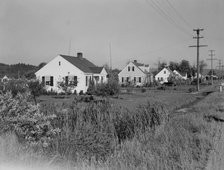 Possibly: Down one street on Longview homestead project, Longview, Cowlitz County, Washington, 1939. Creator: Dorothea Lange.