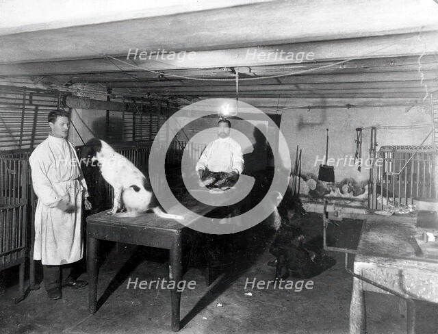 A basement (possibly the pre-operative room in the Physiology Department), Imperial..., 1904. Creator: Unknown.
