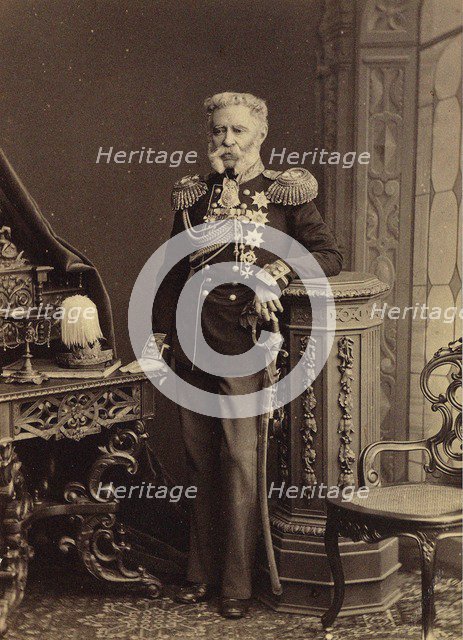 Portrait of Count Vladimir Fyodorovich Adlerberg (1791-1884), 1874.