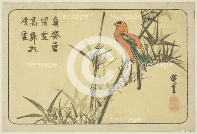 Macaw and bamboo, n.d. Creator: Ando Hiroshige.