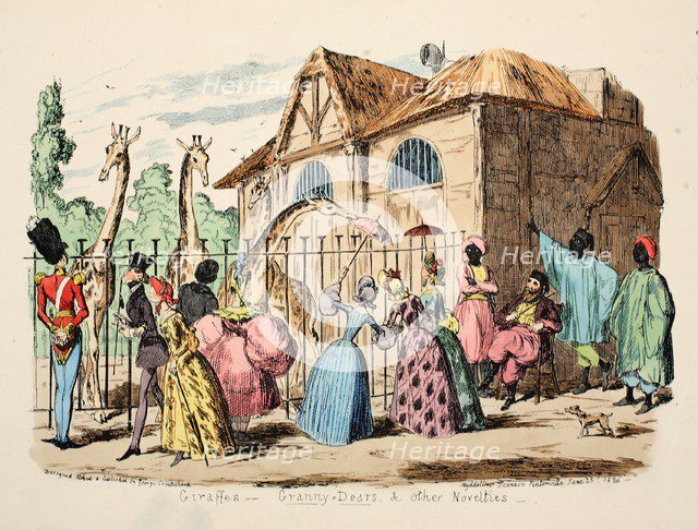 Giraffes - Granny Dears and Other Novelties, 1886. 