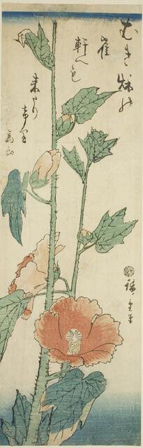 Hibiscus, c. 1843/47. Creator: Ando Hiroshige.