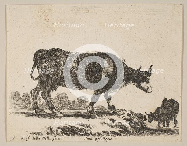 Plate 7: cow, from 'Various animals' (Diversi animali), ca. 1641. Creator: Stefano della Bella.