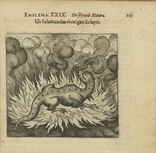 Emblem 29. As the salamander lives in fire, so does the stone, 1618. Creator: Merian, Matthäus, the Elder (1593-1650).