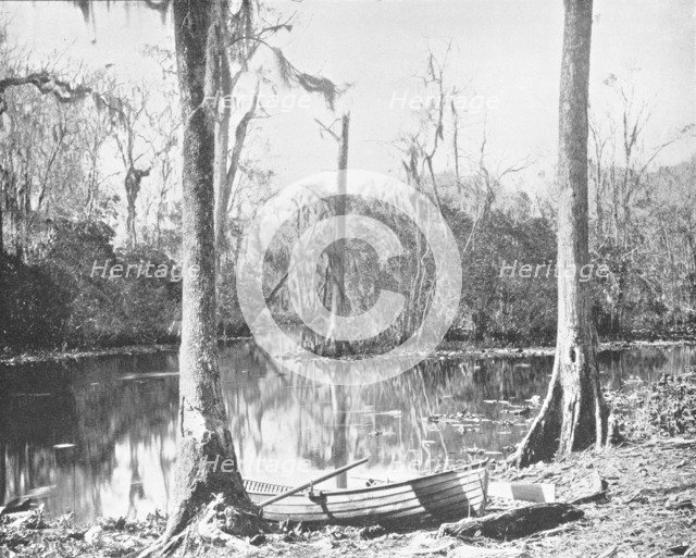 A Feeder of the St. John's River, Florida, USA, c1900. Creator: Unknown.