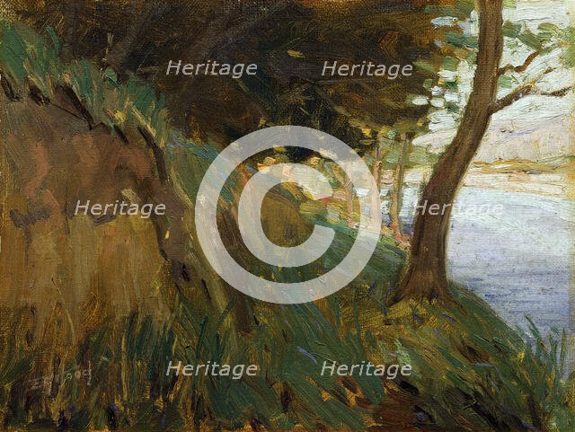 Glimpse of the Hutt River, Western Hutt, (c1910s). Creator: Ernest George Hood.