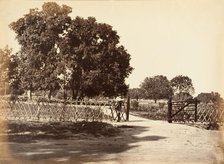 View of Garden, 1850s. Creator: Unknown.