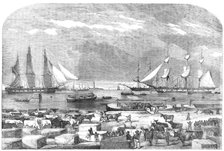 Embarkation of Cattle, at Trieste for the Auxiliary Army in the East, 1854. Creator: Unknown.