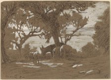 Mt. Colognola - Sheep Grazing on Lake Trasimeno, c. 1878. Creator: Elihu Vedder.