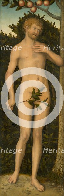 Adam, 1533/37. Creator: Lucas Cranach the Elder.