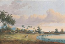 View of Carnation Java, 1838-1898. Creator: Charles William Meredith van de Velde.