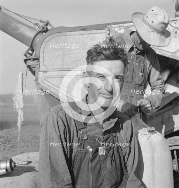 Oklahoman, worked three years as farm laborer..., near Ontario, Malheur County, Oregon, 1939. Creator: Dorothea Lange.
