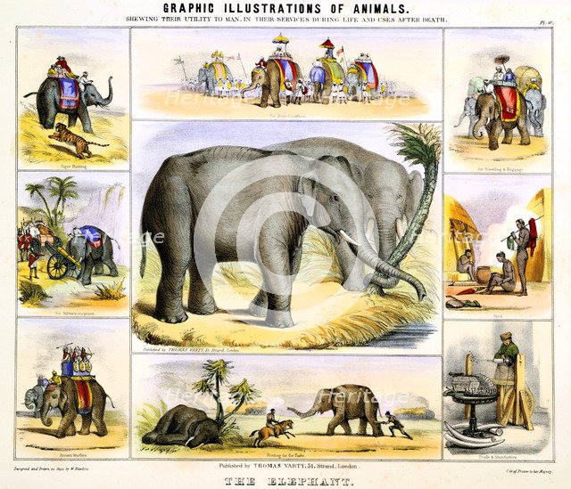 'The Elephant', c1850. Artist: Benjamin Waterhouse Hawkins