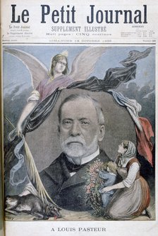 Louis Pasteur, French chemist, 1895. Artist: Henri Meyer