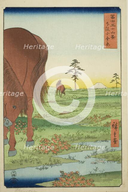 Kogane Plain in Shimosa Province (Shimosa Koganehara), from the series "Thirty-six..., 1858. Creator: Ando Hiroshige.