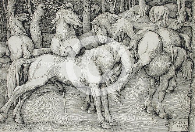 Stallion and Kicking Mare with Wild Horses, 1534. Creator: Hans Baldung.