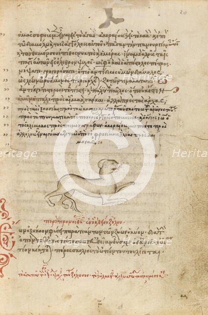 A Dog, 1510-1520. Creator: Unknown.