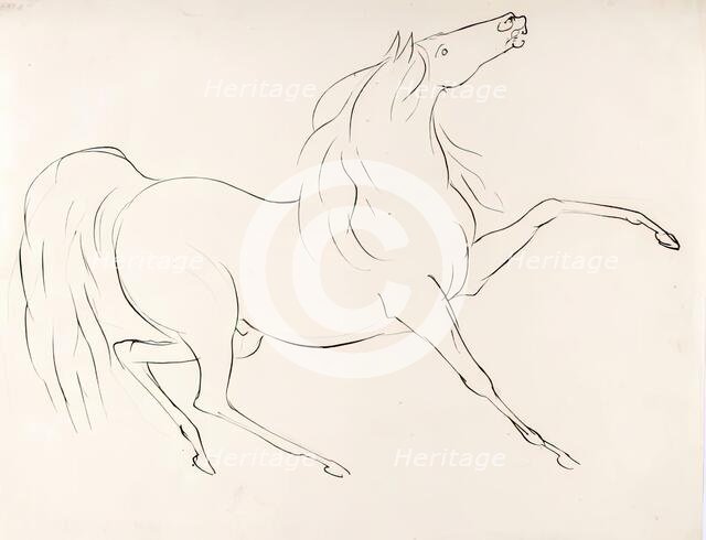 A Horse, 1825-1839. Creator: James Howe.