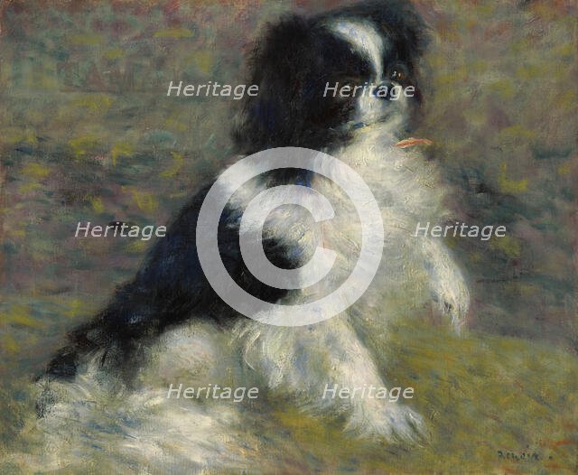 Tama, The Japanese Dog, c1876. Creator: Pierre-Auguste Renoir.