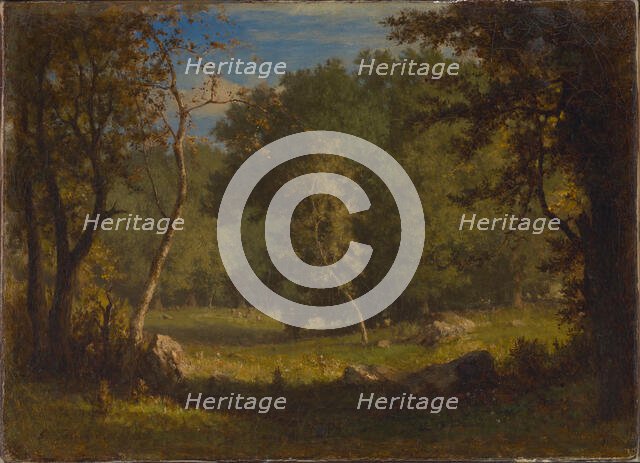 Elf Ground, ca. 1860. Creator: George Inness.