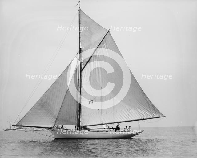 Daffodil, 1894 Aug 4. Creator: John S Johnston.