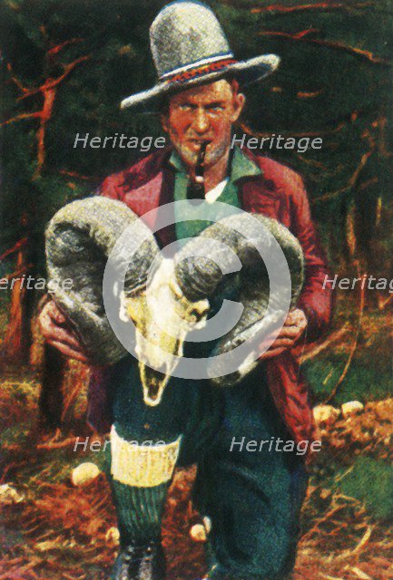 Trophy-hunter holding Bighorn sheep skull, c1928.  Creator: Unknown.